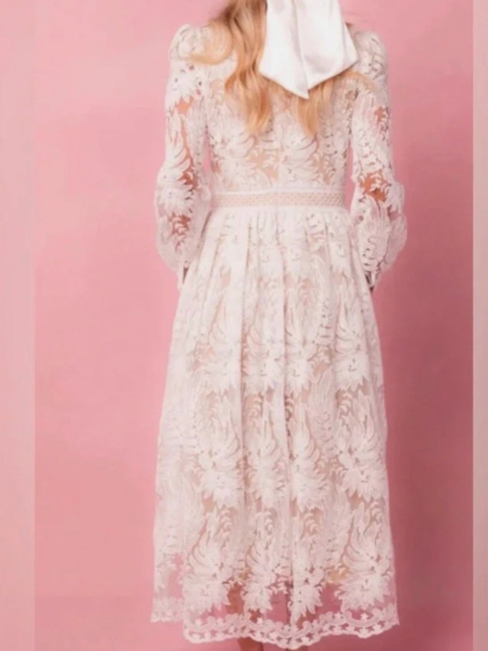NWT Ivy City Co Naples Dress 10 in Lace - Picture 10 of 11